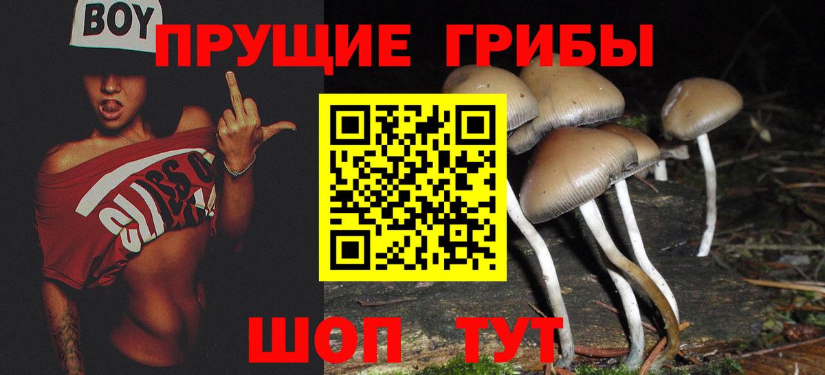 Галлюциногенные грибы Psilocybe  Вход с VPN  Сальск 